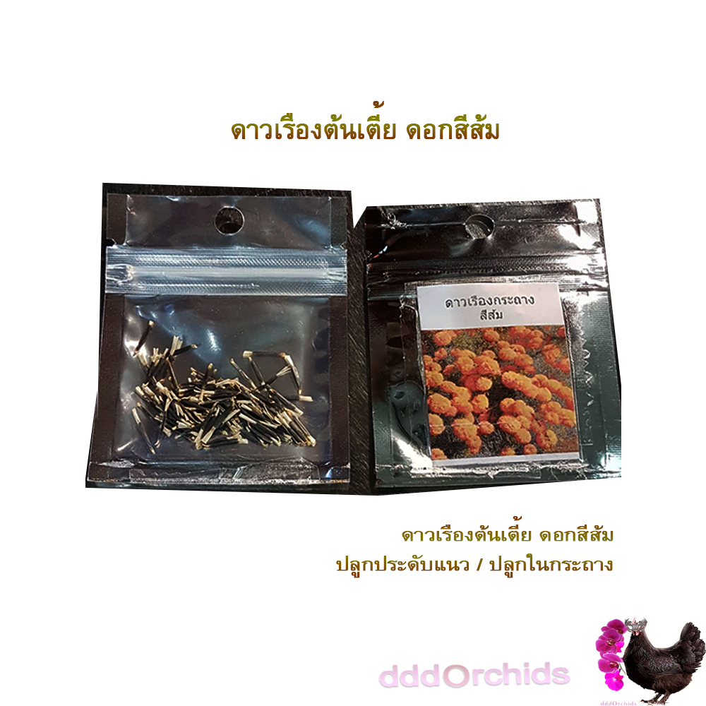 เมล็ดพันธุ์ดาวเรืองกระถาง ดอกสีเหลือง / สีส้ม / สีส้มทอง ดาวเรืองปลูกประดับแปลง หรือปลูกประดับขอบสวน ริมทางเดิน มีซองหลายปริมาณให้เลือก