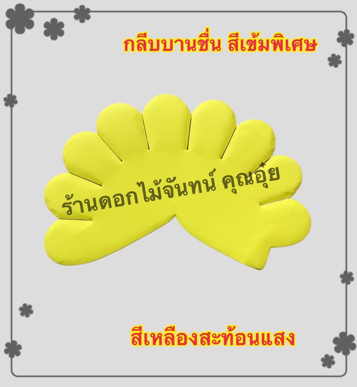 กลีบบานชื่น สีเหลืองสะท้อนแสง