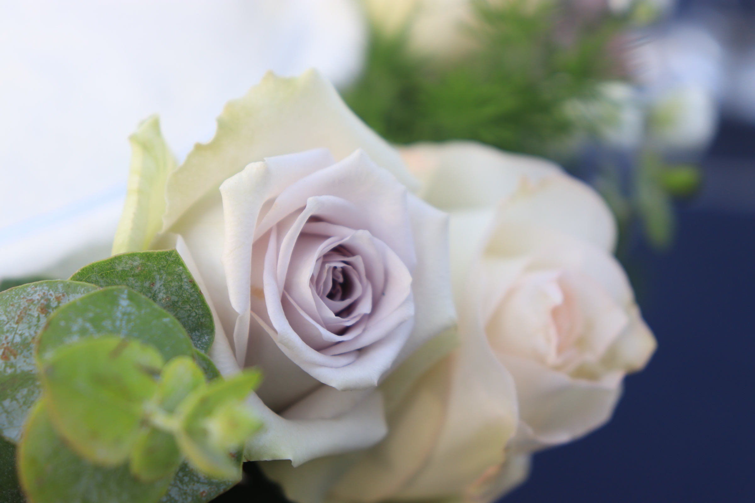 ขันหมากสไตล์โมเดิร์น 11พย.61