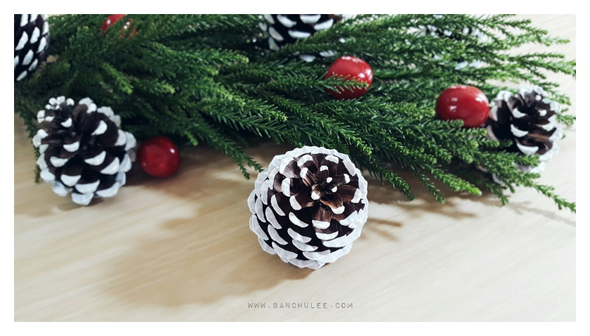 Snow Pine Cone ลูกสนธรรมชาติ สีน้ำตาลเข้ม แต้มขอบปีกด้วยสีขาว