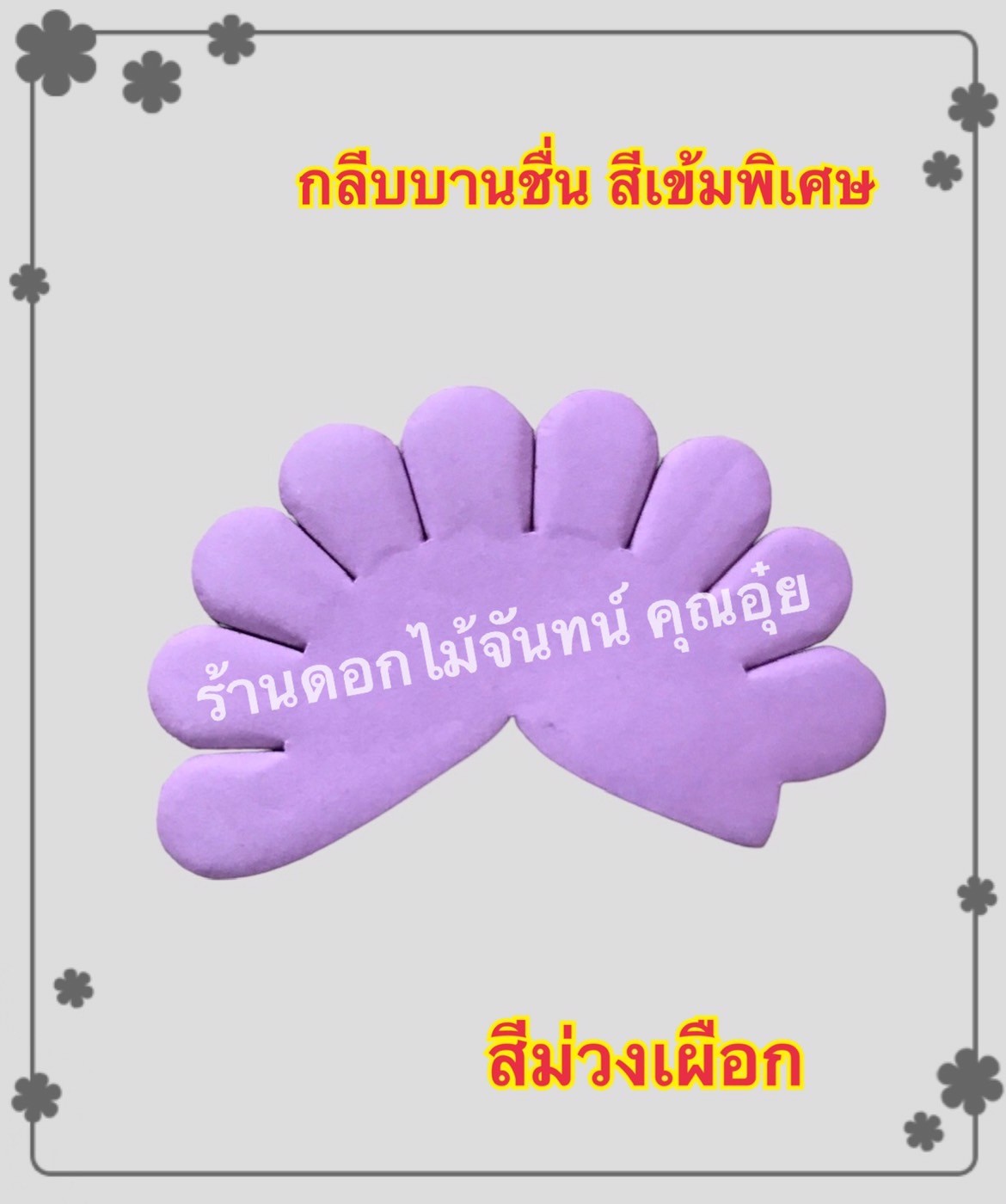 กลีบบานชื่น สีม่วงเผือก