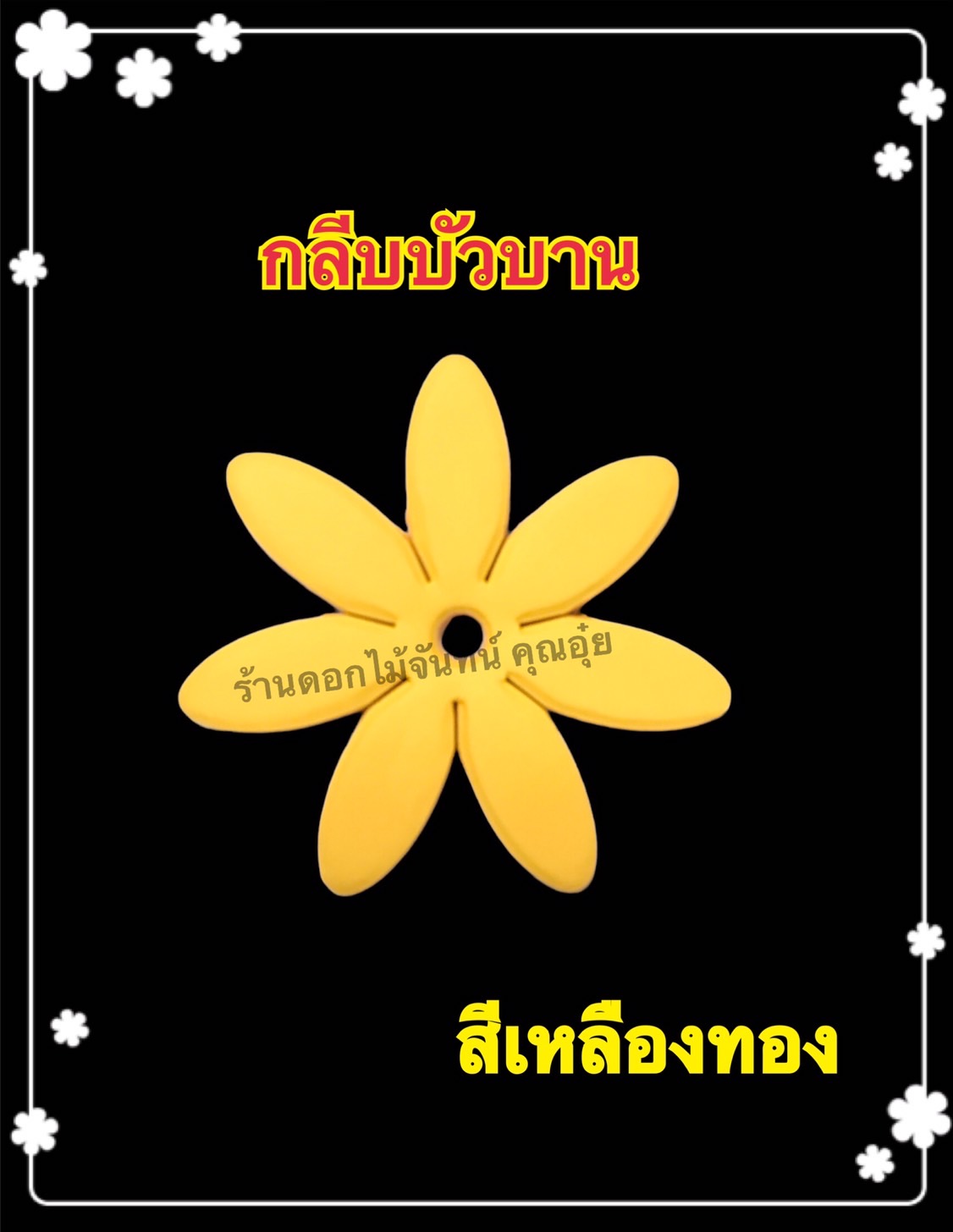 กลีบบัวบาน สีเหลืองทอง