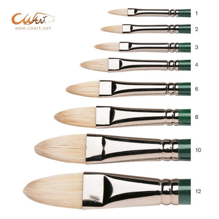 พู่กันสีน้ำมันขนหมู Winsor & Newton Winton แบน ลิ้นแมว(Filbert)