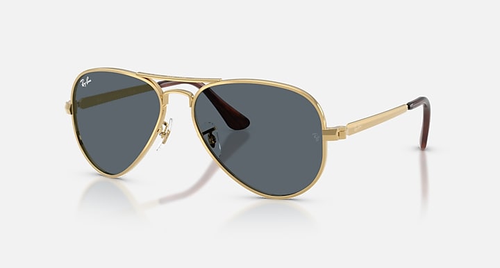 RayBan RB3925 001/R5 Aviator max