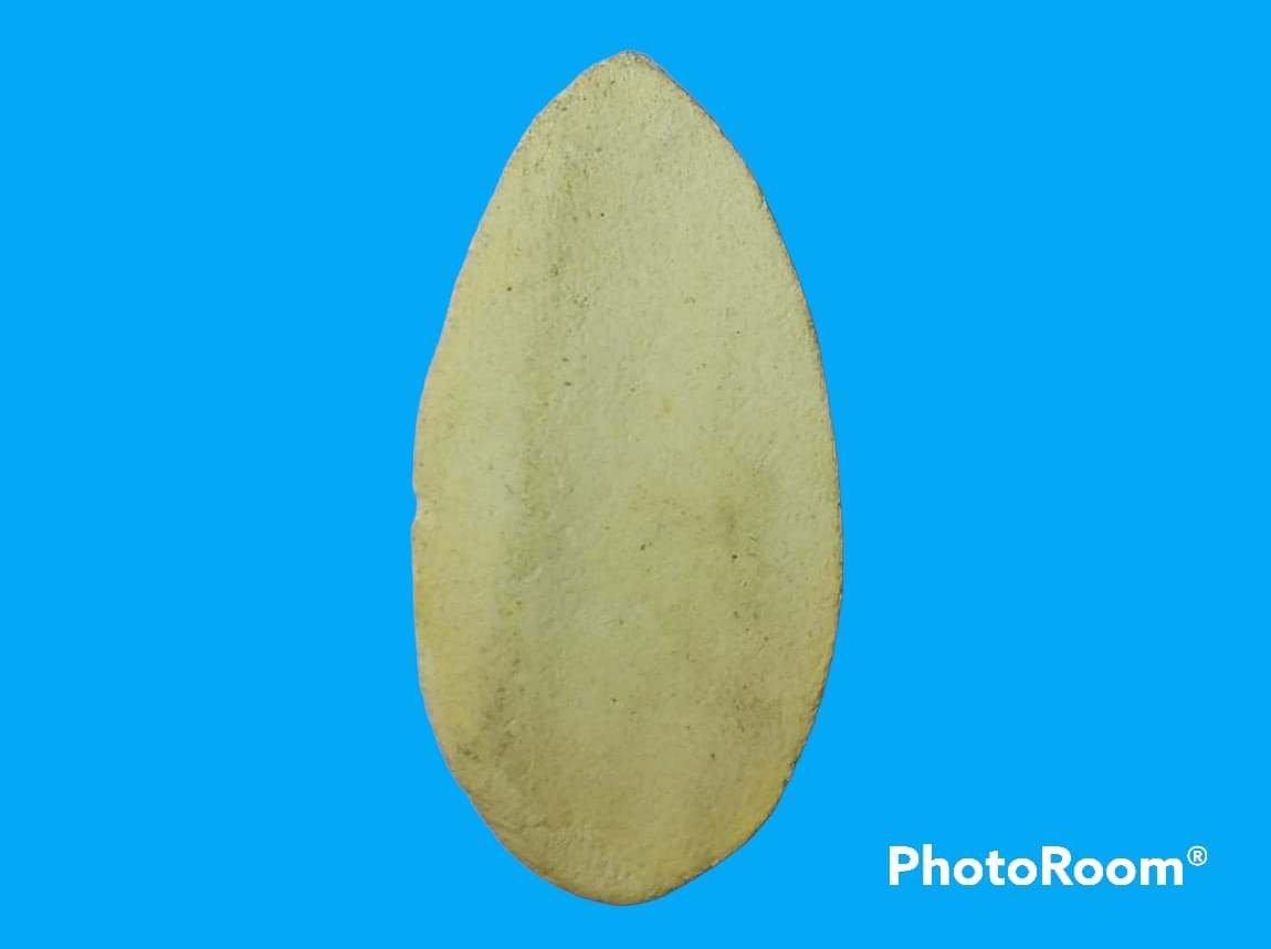 พระธาตุจอมกิตติ วัดพระธาตุจอมกิตติ จ.เชียงราย