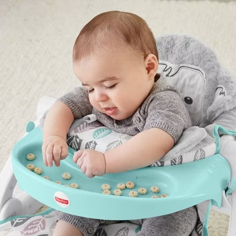 เก้าอี้นั่ง Fisher-Price SnugaMonkey Sit Me Up Floor Seat