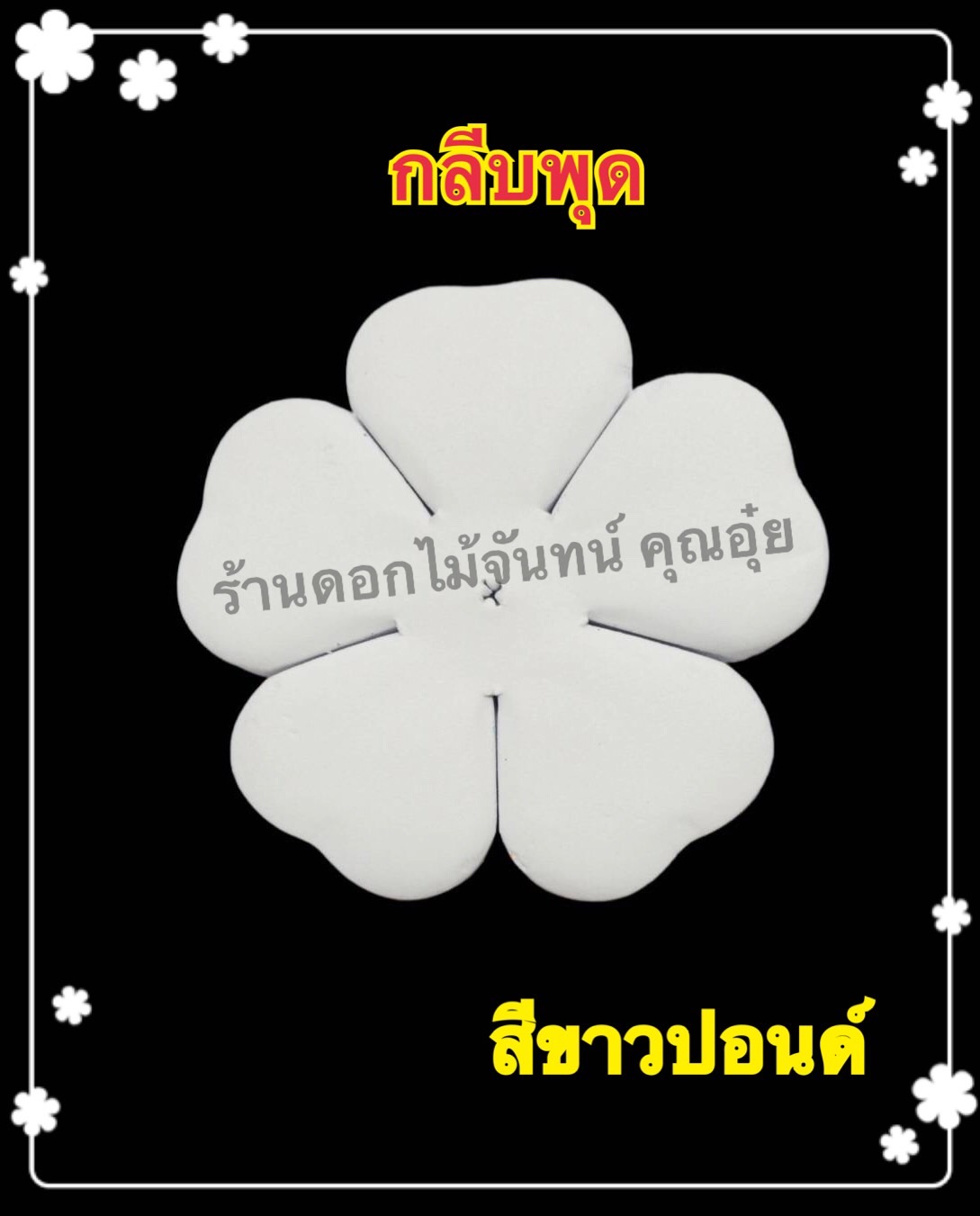 กลีบพุด สีขาวปอนด์