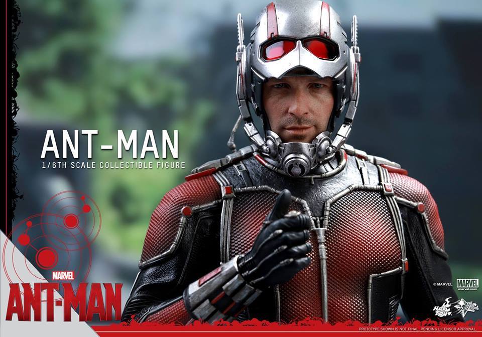 HOTTOYS - Antman
