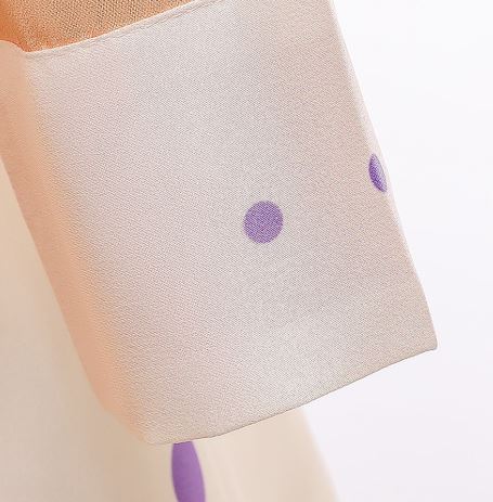 ชุดเจ้าหญิง โฟเซ่น แอนนา ภาค2