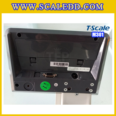 เครื่องชั่งน้ำหนักคน250kg เครื่องชั่งน้ำหนักคนแบบดิจิตอล250กิโลกรัม พร้อมที่วัดส่วนสูง สามารถวัดค่า BMI (Body Mass Index) ได้ เครื่องชั่งน้ำหนักและวัดส่วนสูง200เซ็นติเมตร ค่าละเอียด0.1กิโลกรัม ยี่ห้อ T-Scale รุ่น M301