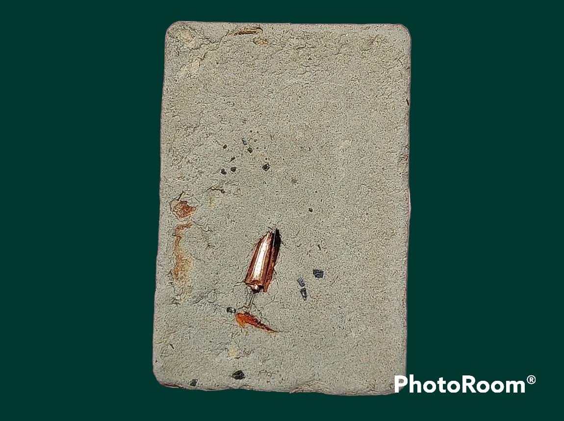 สมเด็จหลวงพ่อทอง วัดหลักห้า ยะลา ปี 2503