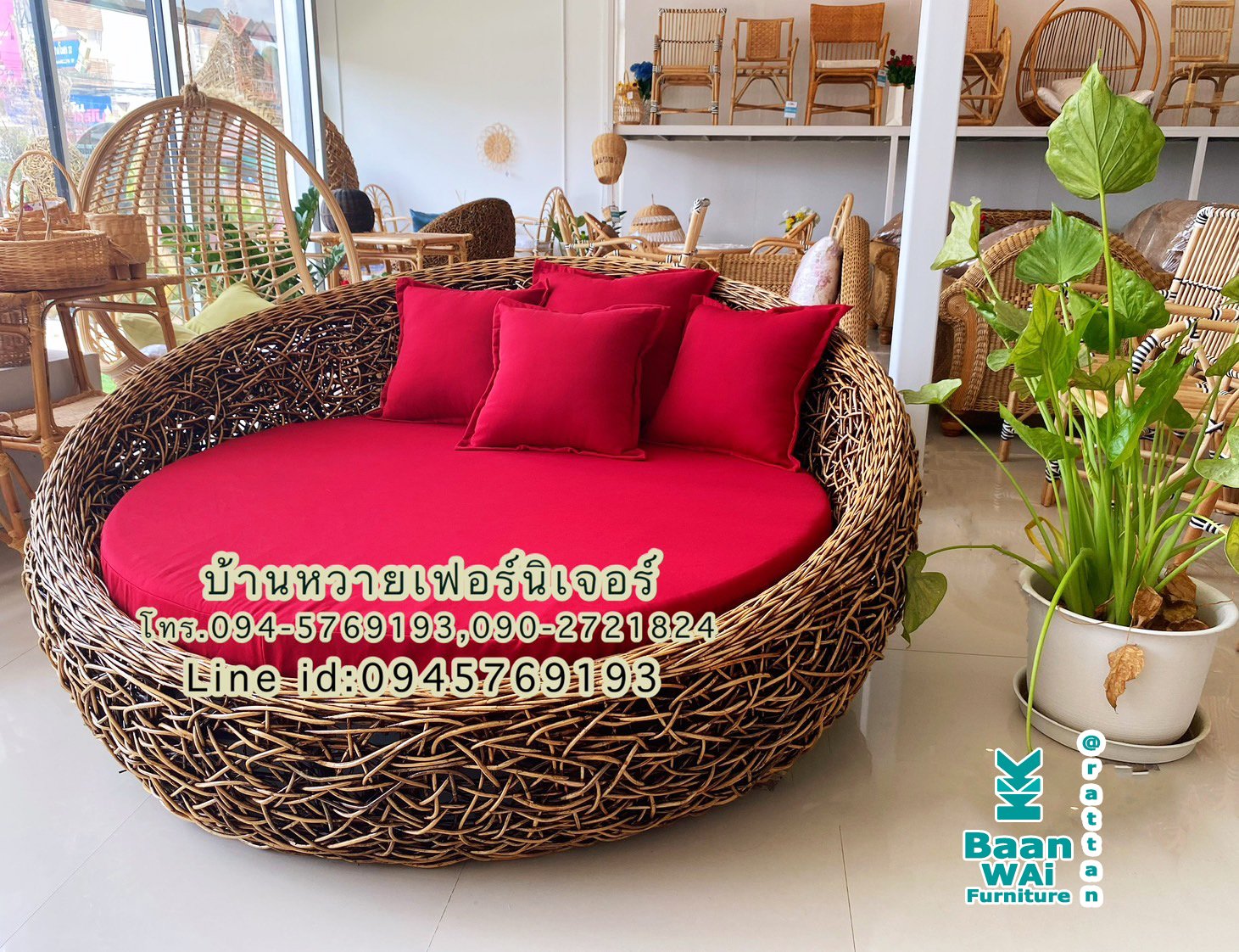 โซฟาหวายกลมรังนก