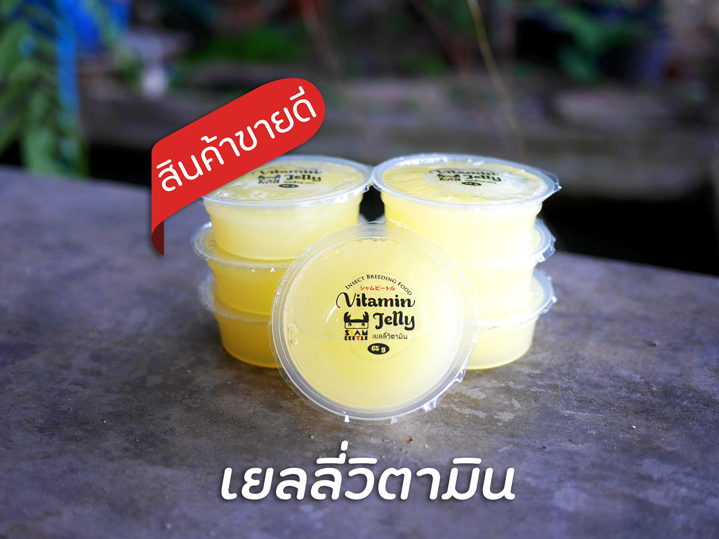 เยลลี่ถ้วย"วิตามิน"(สีเหลือง) By Beetle