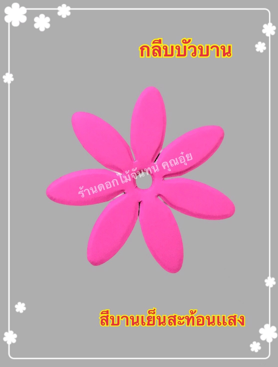 กลีบบัวบาน สีบานเย็นสะท้อนแสง
