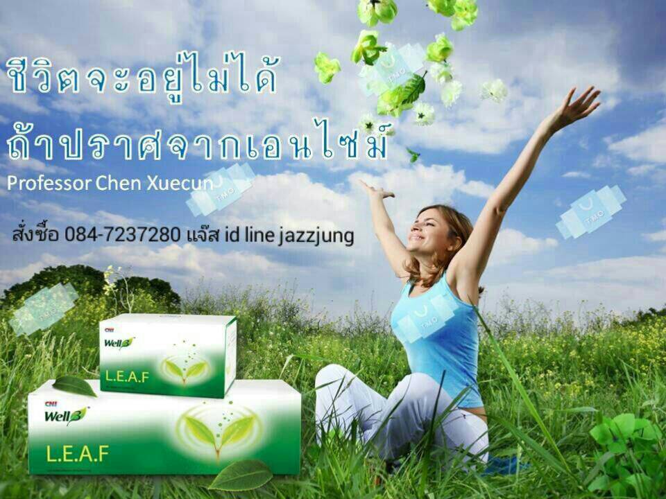 เอนไซม์ Enzyme