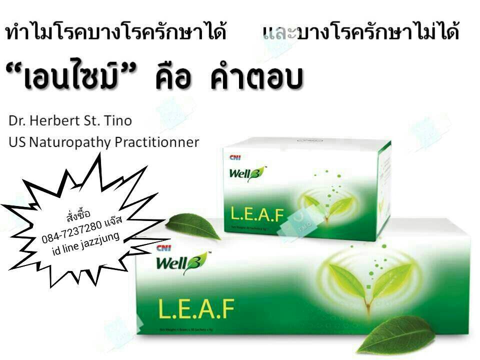 เอนไซม์ Enzyme