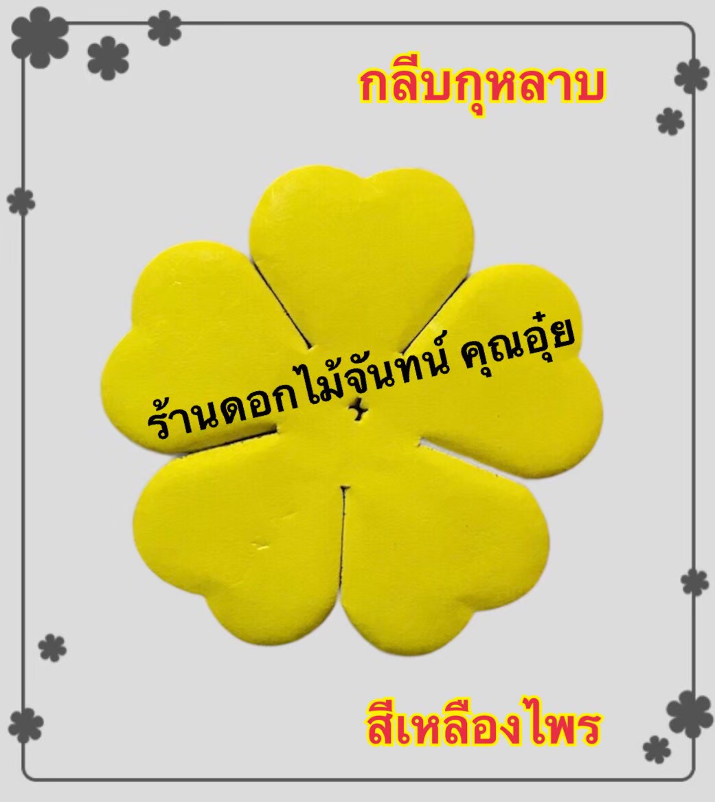 กลีบกุหลาบ สีเหลืองไพร