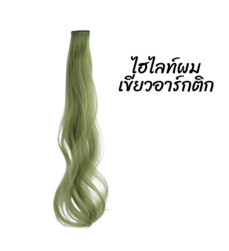 พร้อมส่ง กิ๊บติดผม ไฮไลท์สีผมเด็ก เปียผม เปียถักร้อย