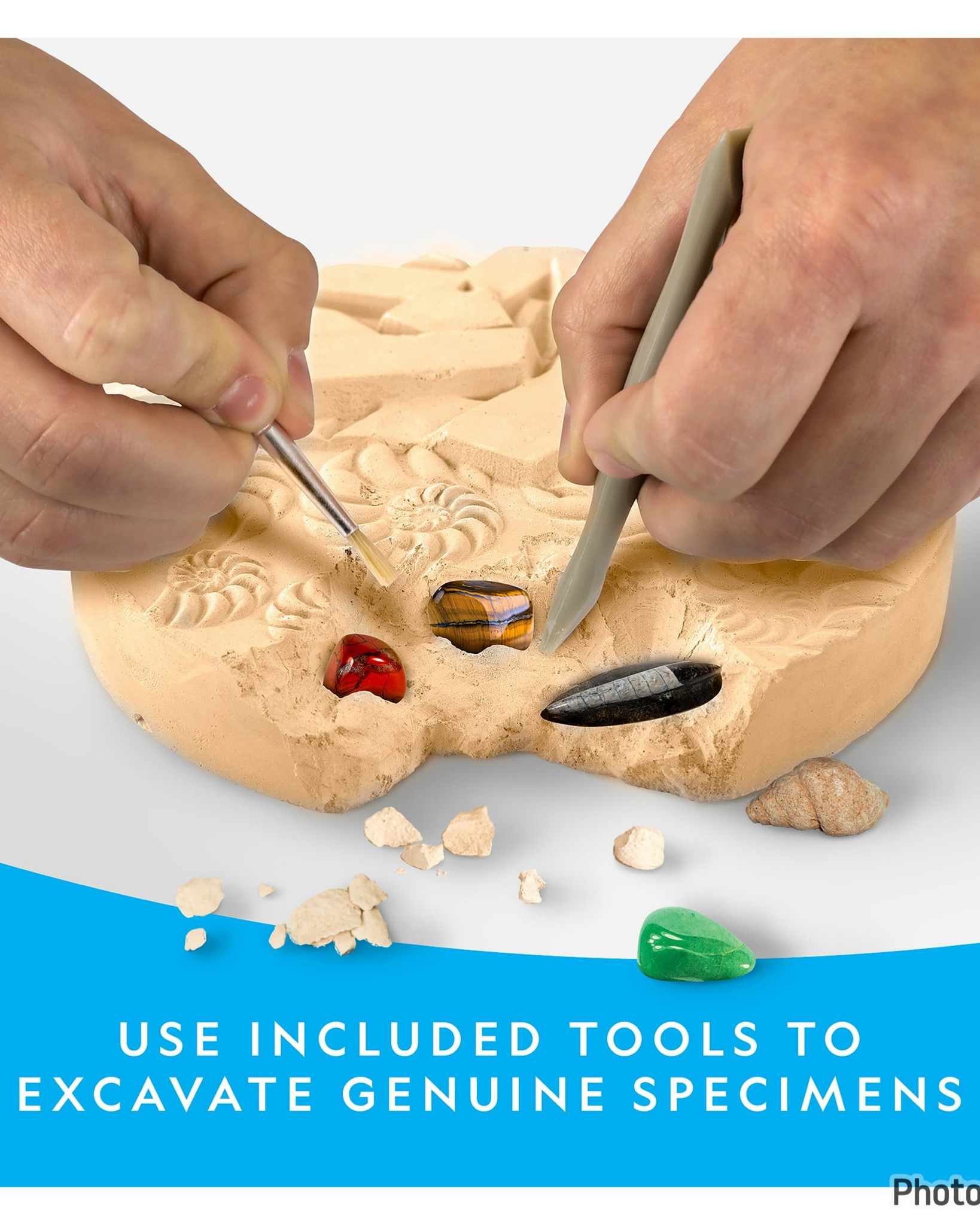 ชุดขุดหาหินมีค่าและฟอสซิล NATIONAL GEOGRAPHIC Mega Fossil and Gemstone Dig Kit