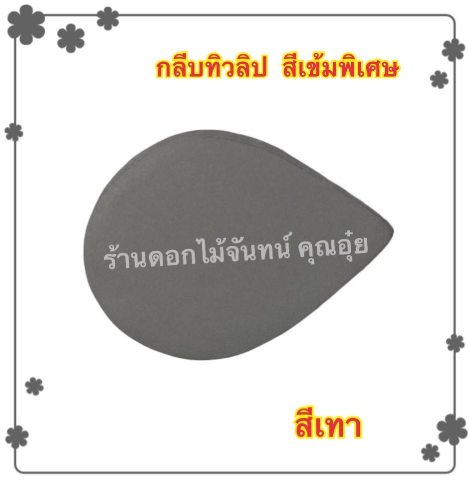 กลีบดอกทิวลิป สีเทา