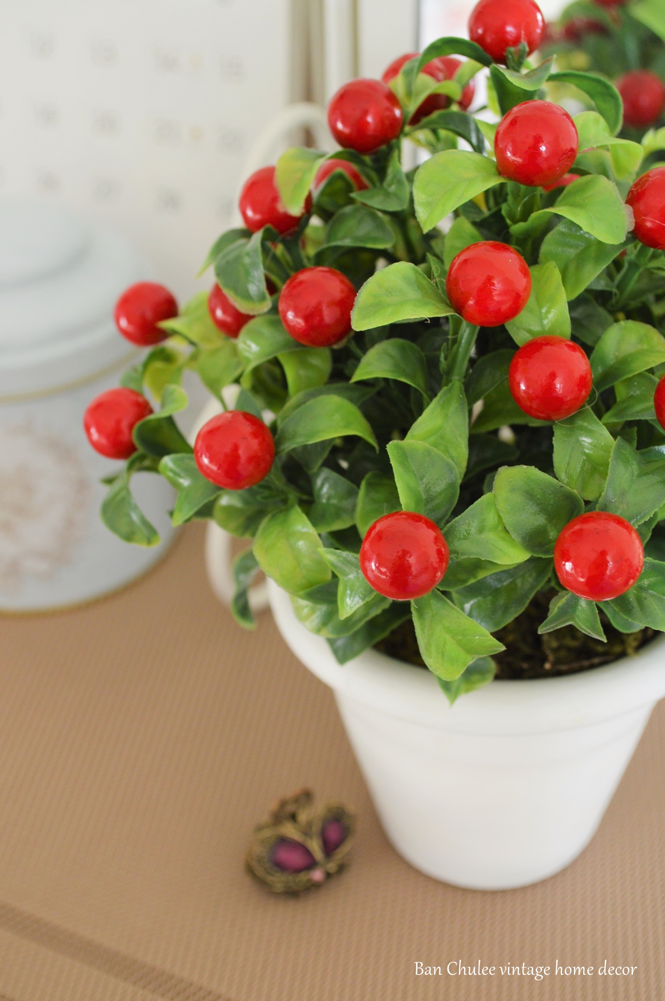 Red Berry In Flowerpot ต้นเบอร์รี่ในกระถาง