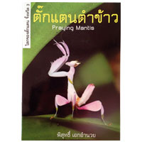 ตั๊กแตนตำข้าว
