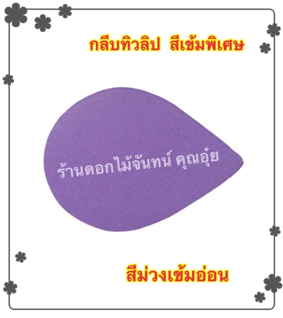 กลีบดอกทิวลิป สีม่วงเข้มอ่อน