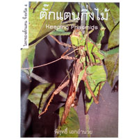 ตั๊กแตนกิ่งไม้
