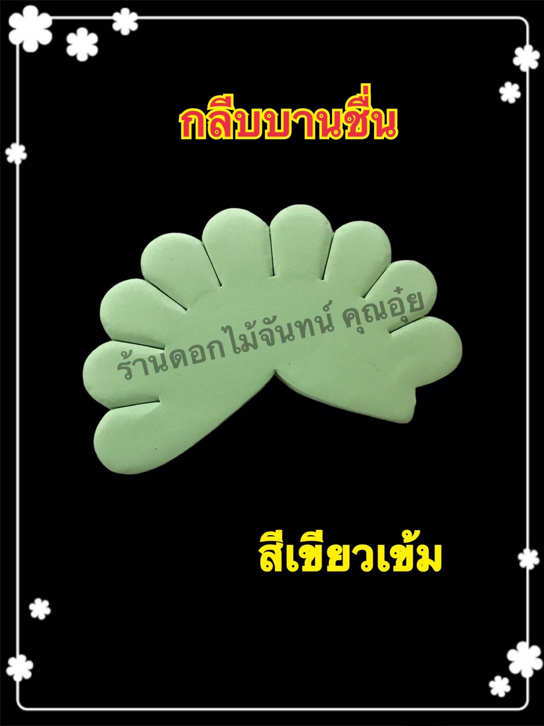 กลีบบานชื่น สีเขียวเข้ม