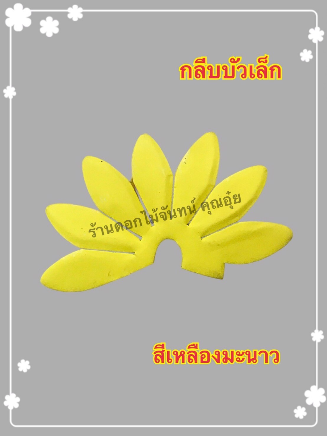 กลีบบัวเล็ก สีเหลืองมะนาว