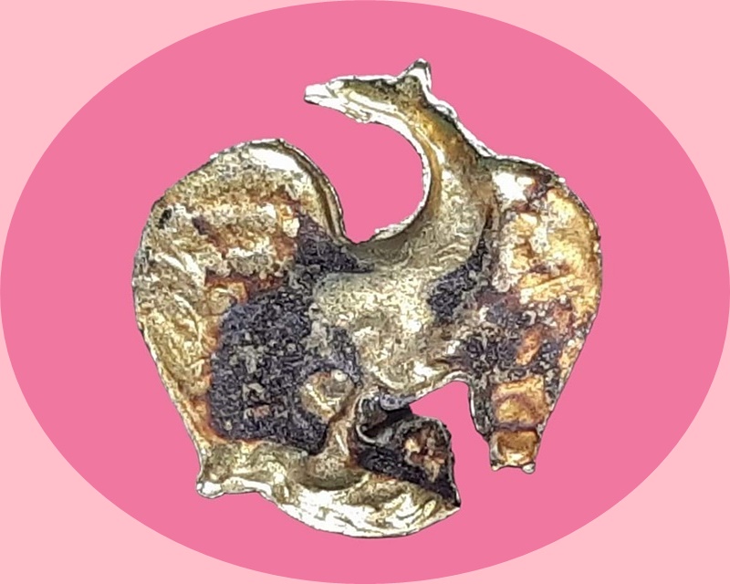 พญาการเวกเจ้าทรัพย์ สหบารมี หลวงพ่ออิ่ม วัดทุ่งนาใหม่ นครศรีธรรมราช