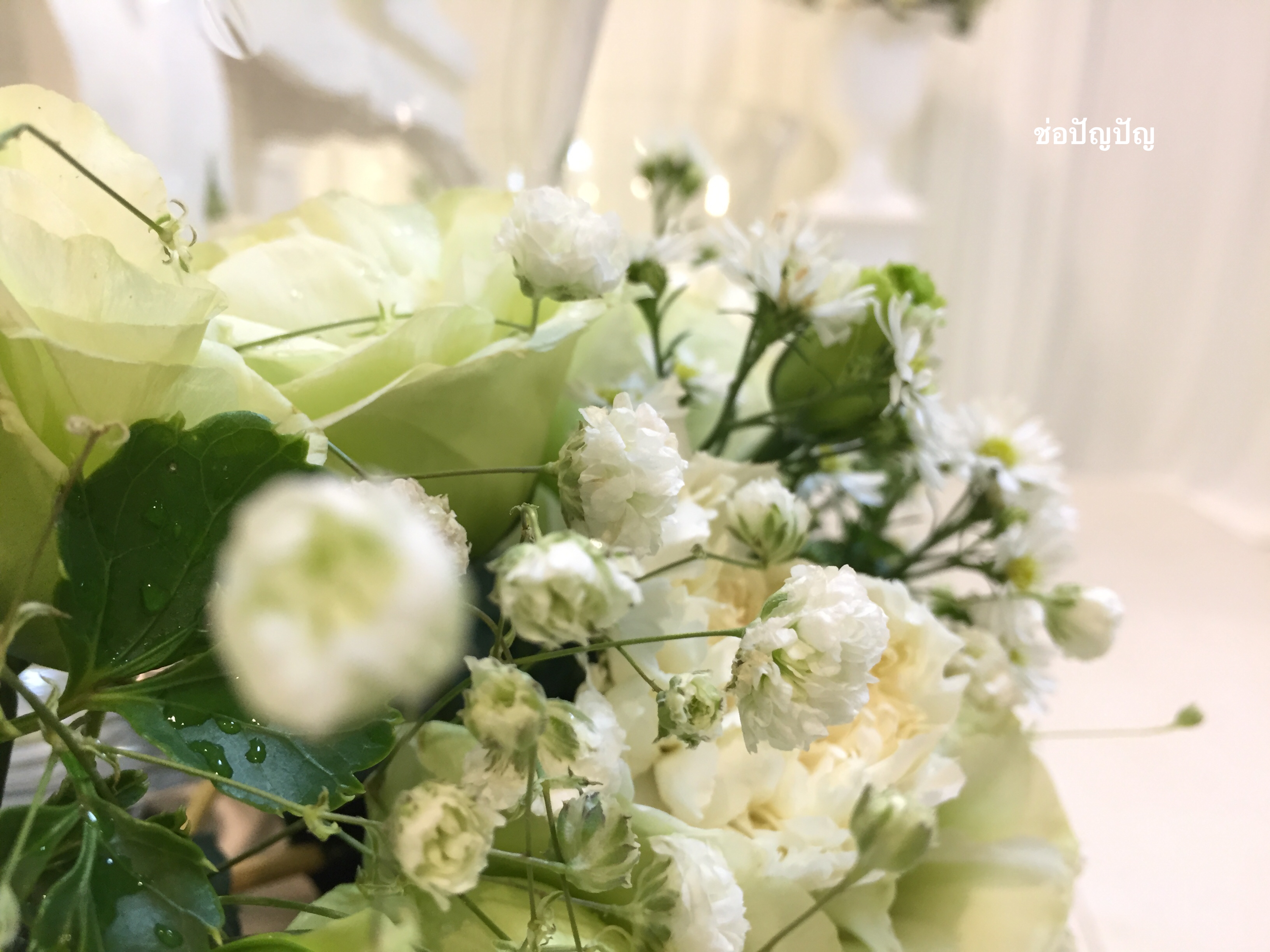 สถานที่หลั่งน้ำสังข์,แบคดรอปหลั่งน้ำสังข์ โทนขาวเขียว