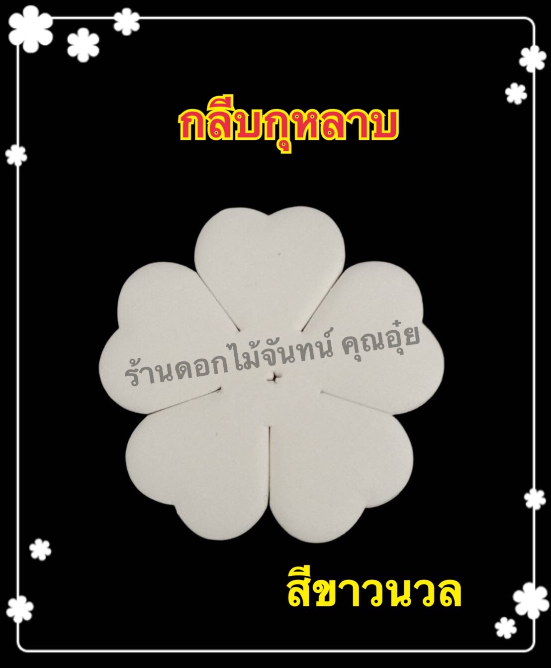 กลีบกุหลาบ สีขาวนวล