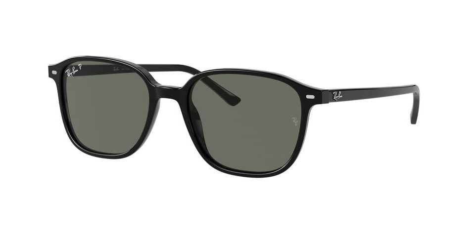 RayBan RB2193F 901/58 LEONARD
