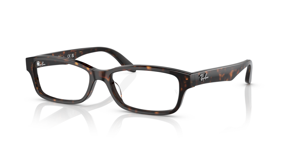 RayBan RX5415D 2012