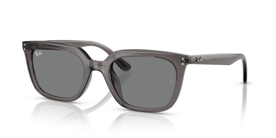 RayBan RB4439D 667587