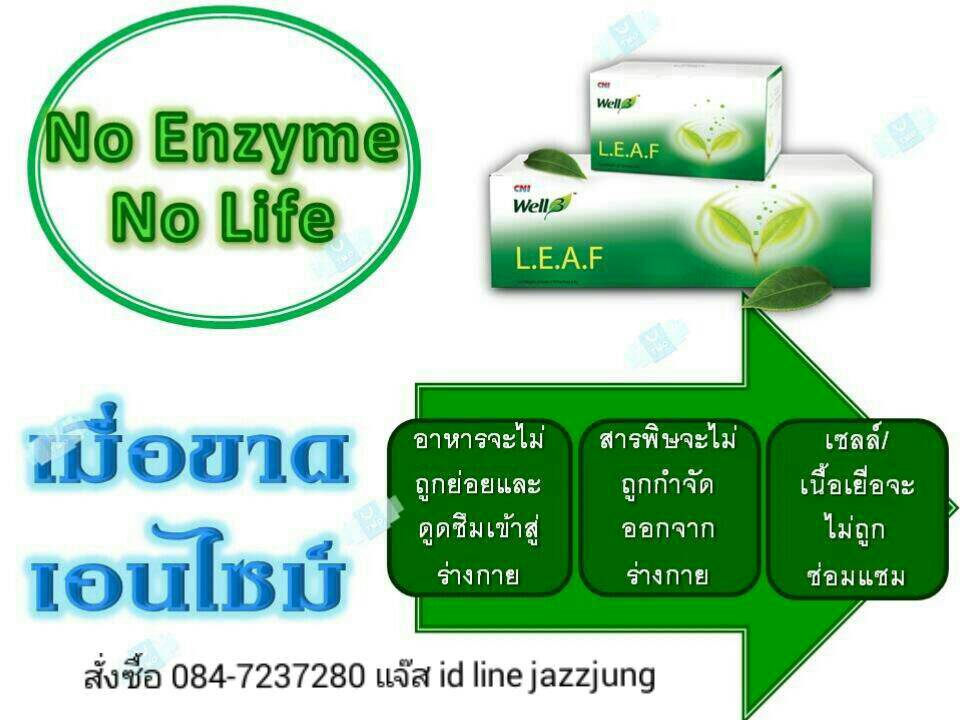 เอนไซม์ Enzyme
