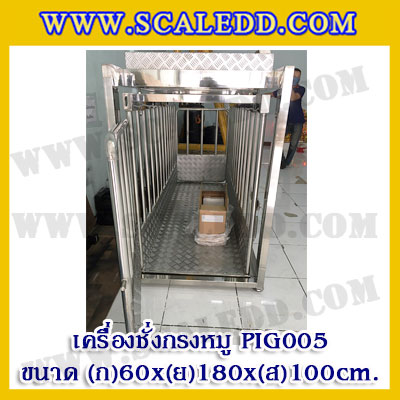 เครื่องชั่งหมูแบบกรงสแตนเลส built in printer ยี่ห้อ SDS รุ่น IDS701-PLCD พิกัด 500kg ความละเอียด 100g ขนาด 60x180x100cm.