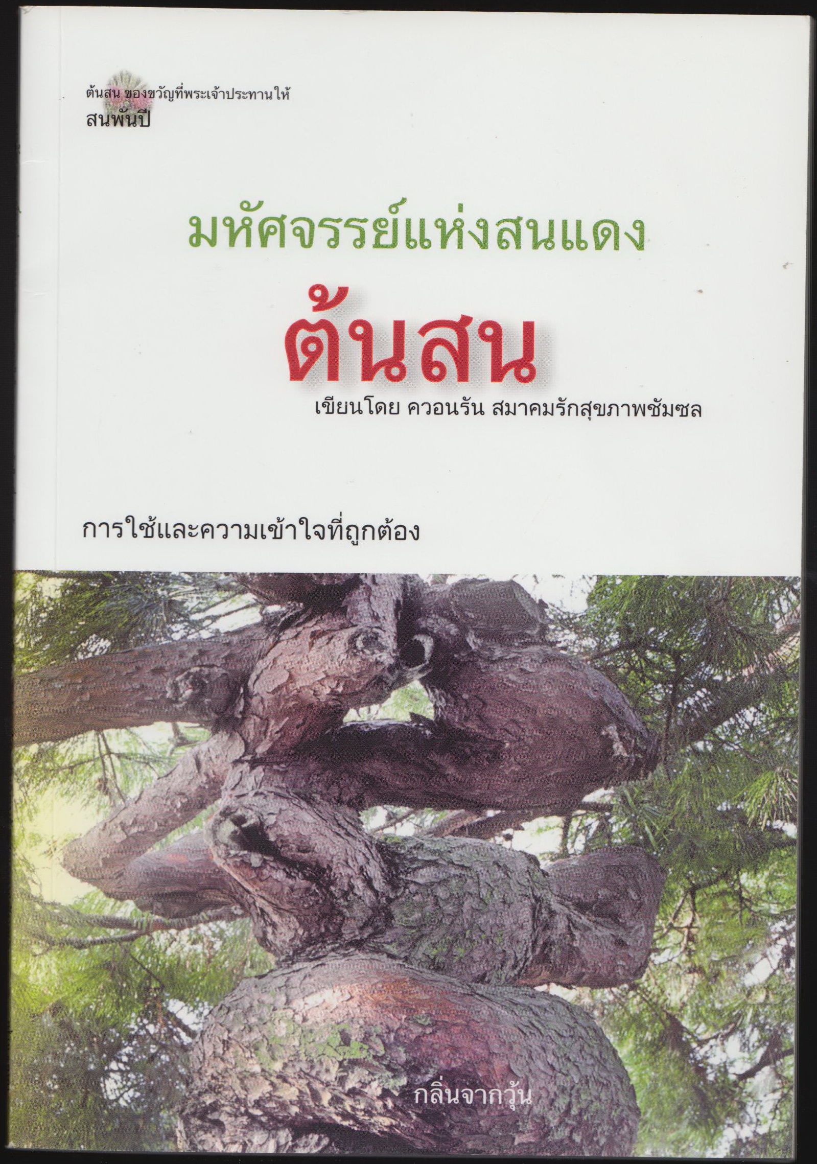มหัศจรรย์แห่งต้นสนแดง ต้นสน การใช้งานและความเข้าใจที่ถูกต้อง