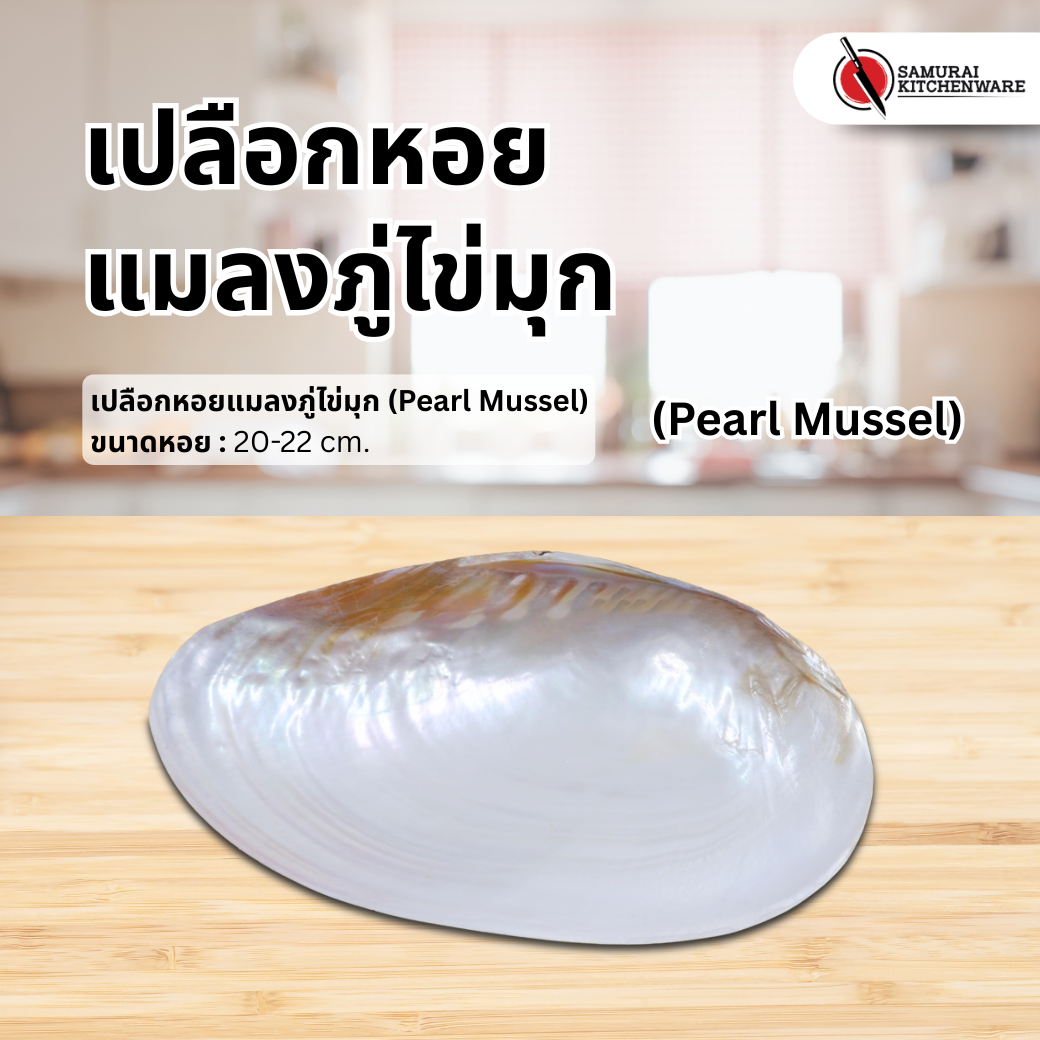 เปลือกหอยแมลงภู่ไข่มุก (Pearl Mussel)
