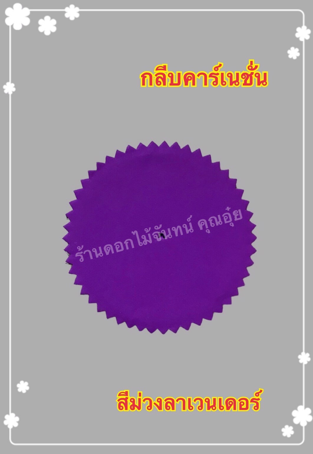 กลีบคาเนชั่น สีม่วงลาเวนเดอร์