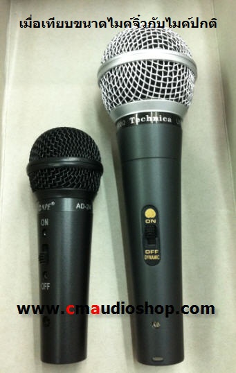 ไมค์สายขนาดเล็ก (ไมค์สายจิ๋ว)