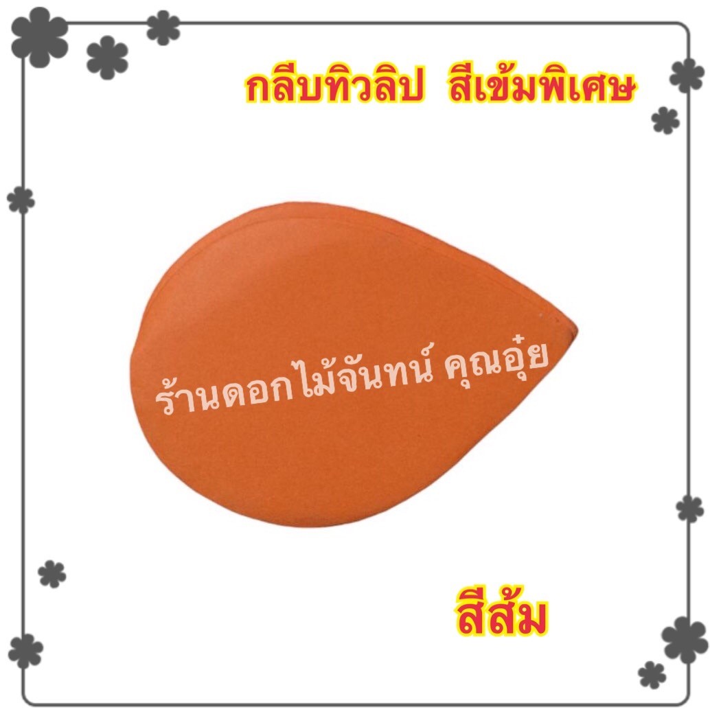 กลีบดอกทิวลิป สีส้ม