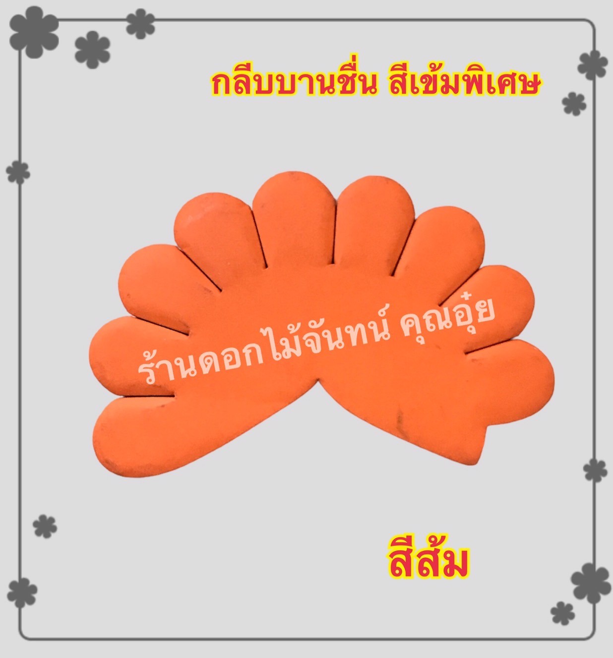 กลีบบานชื่น สีส้ม