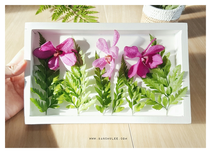 White Wooden Tray