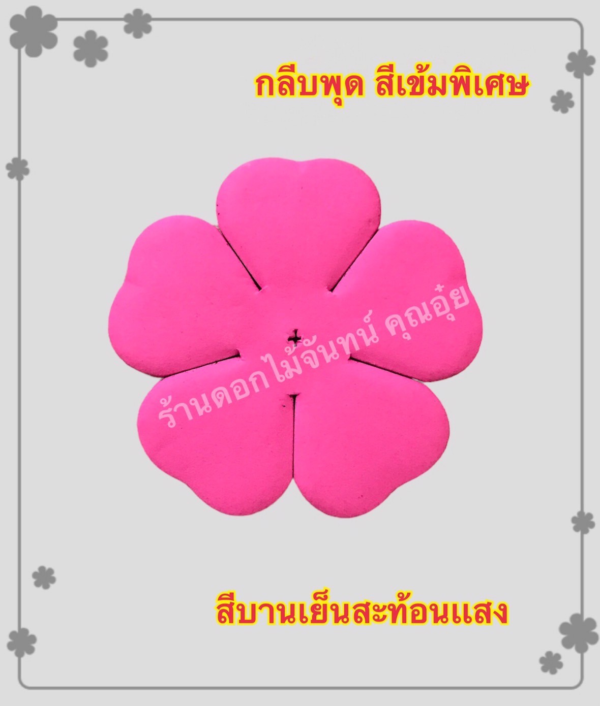 กลีบพุด สีบานเย็นสะท้อนแสง