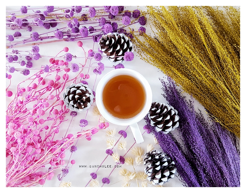 Snow Pine Cone ลูกสนธรรมชาติ สีน้ำตาลเข้ม แต้มขอบปีกด้วยสีขาว