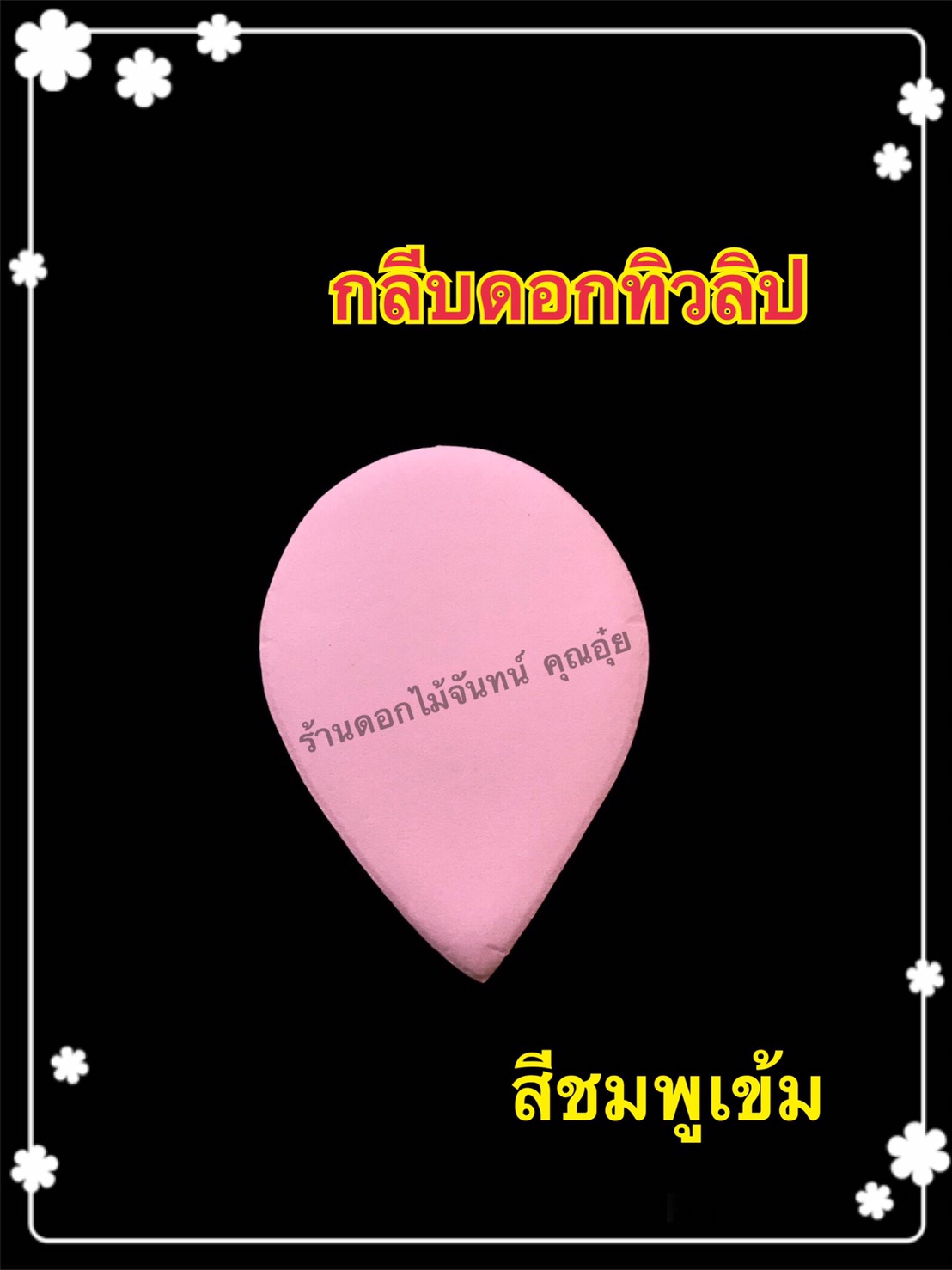 กลีบดอกทิวลิป สีชมพูเข้ม
