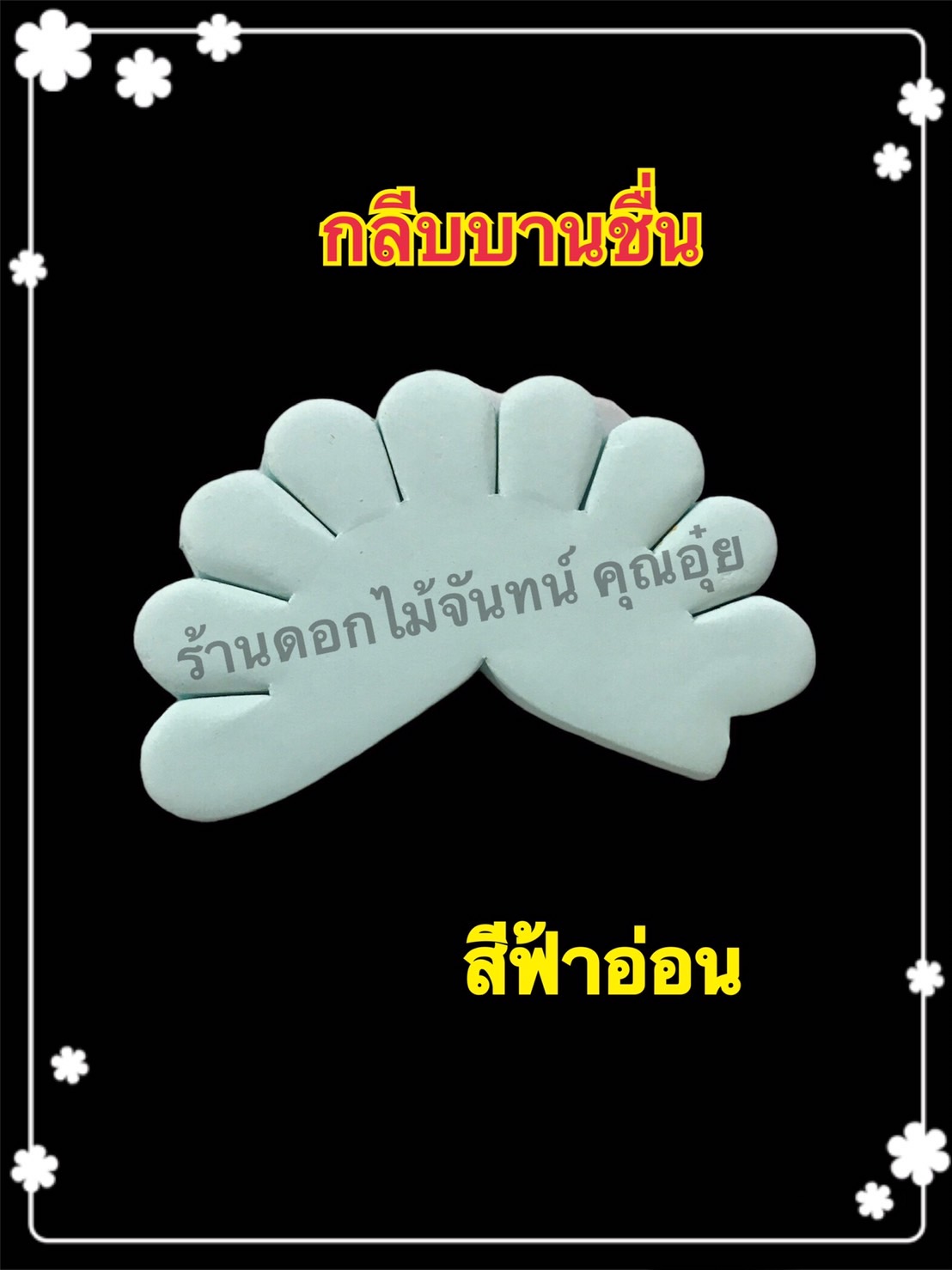 กลีบบานชื่น สีฟ้าอ่อน