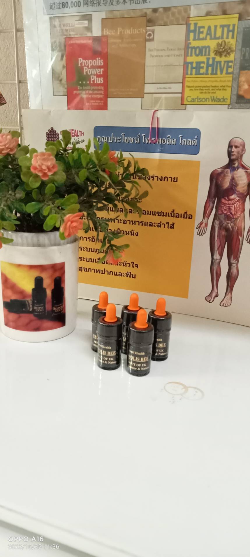 Propolis Bee น้ำลายผึ้ง